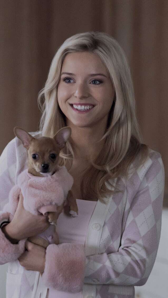 What you need to know about the Legally Blonde prequel Elle